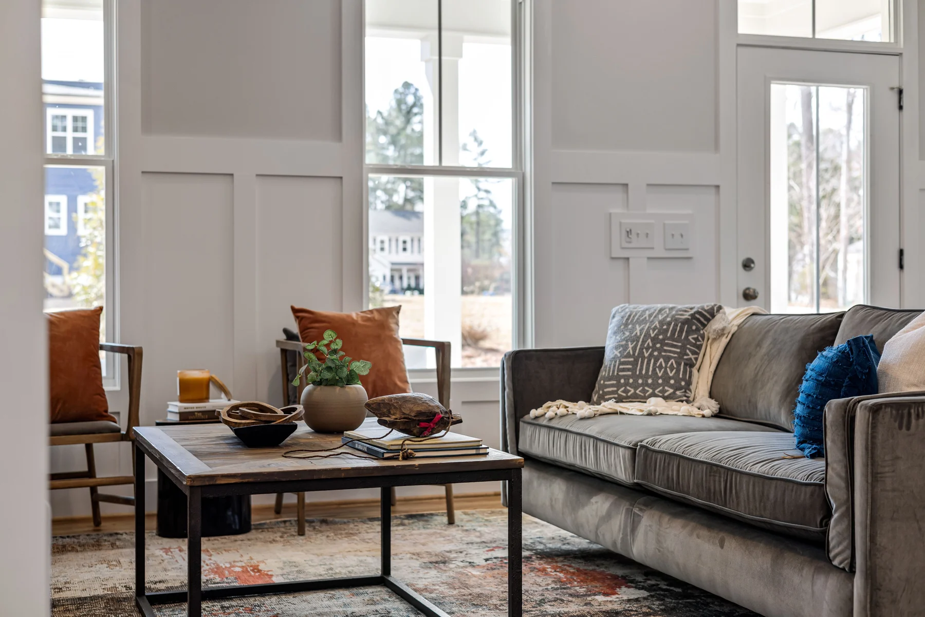 Bright living room with a sofa, soft rug and natural light