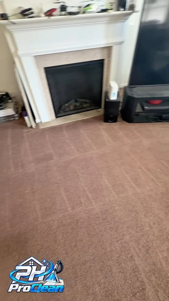 Carpeted room shown in a PH ProClean cleaning video